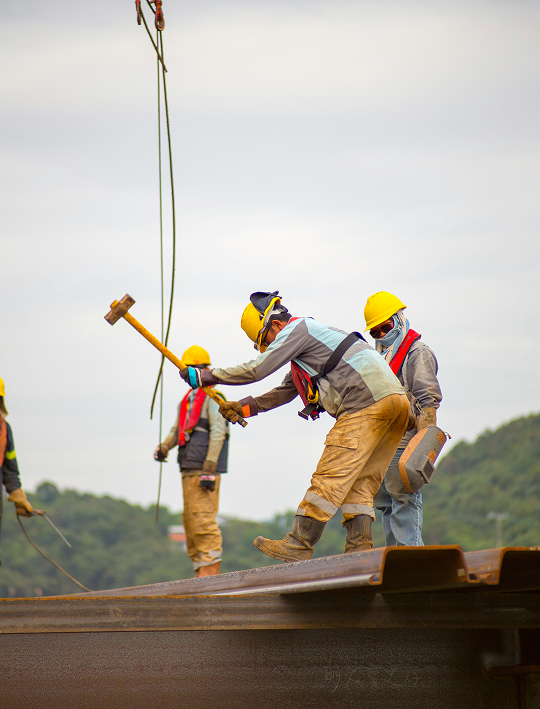 Zemco Group Construction Workers
